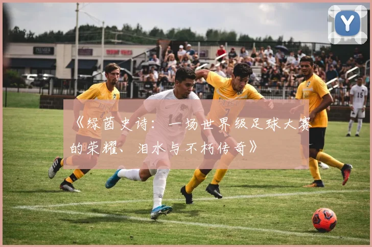 《绿茵史诗：一场世界级足球大赛的荣耀、泪水与不朽传奇》