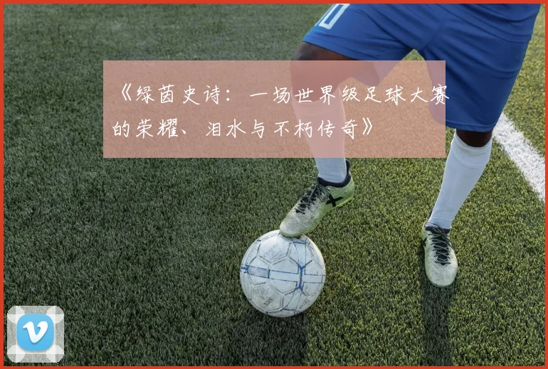 《绿茵史诗：一场世界级足球大赛的荣耀、泪水与不朽传奇》